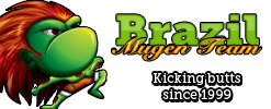 BMT – Brazil Mugen Team